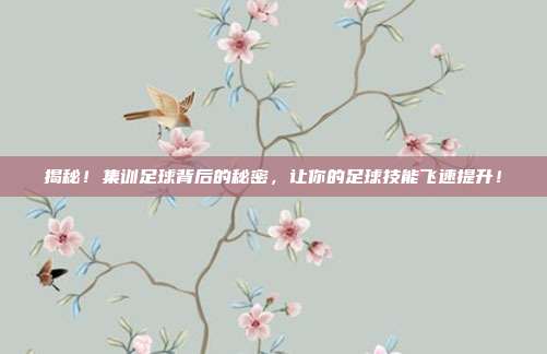 揭秘!集训足球背后的秘密,让你的足球技能飞速提升!