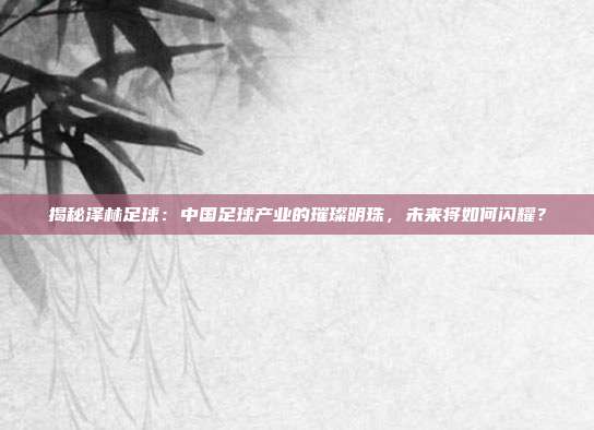 揭秘泽林足球：中国足球产业的璀璨明珠，未来将如何闪耀？