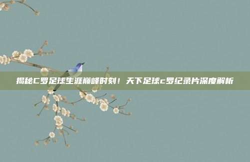 揭秘C罗足球生涯巅峰时刻！天下足球c罗纪录片深度解析