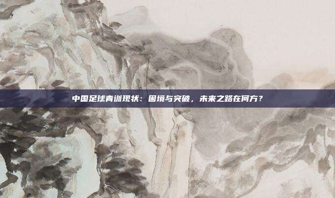 中国足球青训现状:困境与突破,未来之路在何方?
