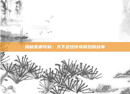 揭秘舍甫琴科：天下足球传奇背后的故事