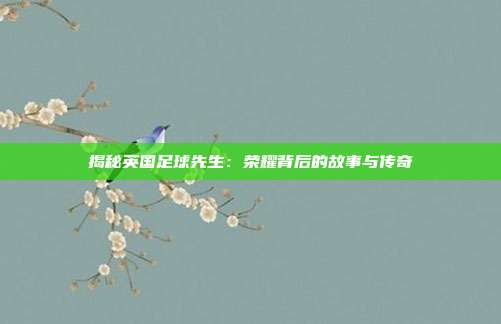揭秘英国足球先生:荣耀背后的故事与传奇