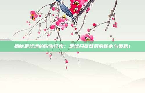 揭秘足球迷的购物狂欢：足球扫货背后的秘密与策略！