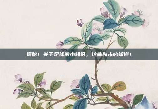 揭秘！关于足球的小知识，这些你未必知道！