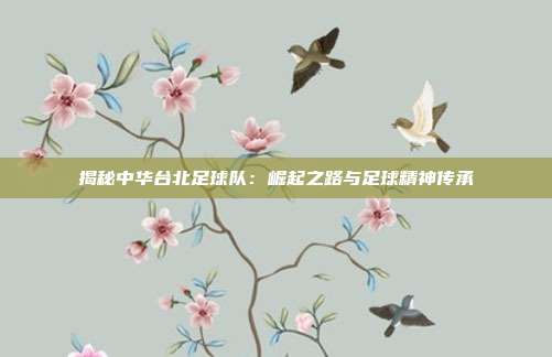 揭秘中华台北足球队:崛起之路与足球精神传承
