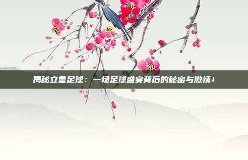 揭秘立鲁足球：一场足球盛宴背后的秘密与激情！