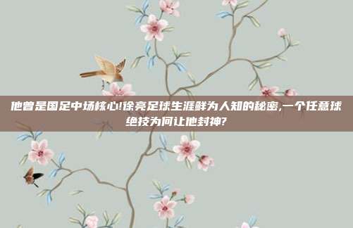 他曾是国足中场核心!徐亮足球生涯鲜为人知的秘密,一个任意球绝技为何让他封神?