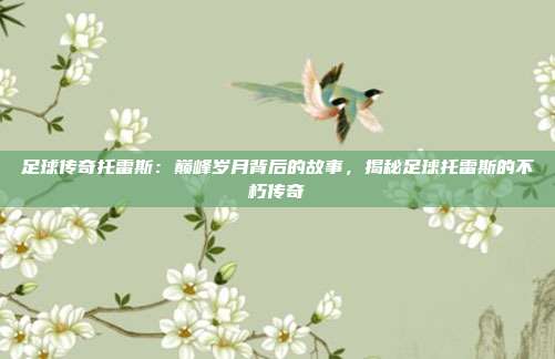 足球传奇托雷斯:巅峰岁月背后的故事,揭秘足球托雷斯的不朽传奇