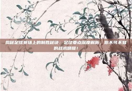 揭秘足球赛场上的制胜秘诀：足球要点深度解析，你不可不知的战术精髓！