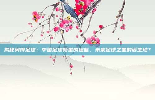 揭秘翼锋足球:中国足球新星的摇篮,未来足球之星的诞生地?