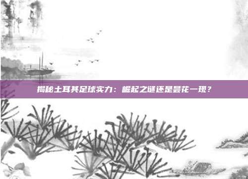 揭秘土耳其足球实力：崛起之谜还是昙花一现？