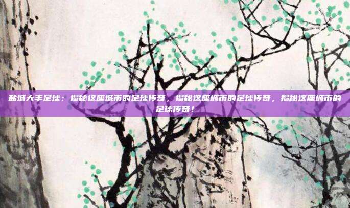 盐城大丰足球：揭秘这座城市的足球传奇，揭秘这座城市的足球传奇，揭秘这座城市的足球传奇！