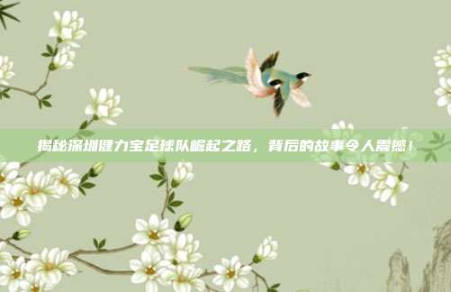 揭秘深圳健力宝足球队崛起之路，背后的故事令人震撼！