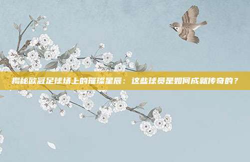 揭秘欧冠足球场上的璀璨星辰:这些球员是如何成就传奇的?
