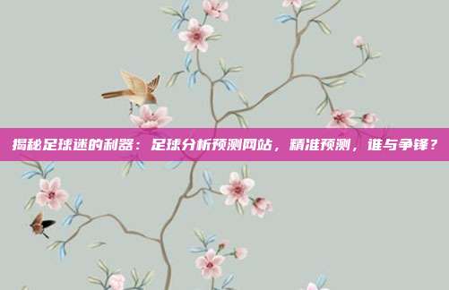 揭秘足球迷的利器：足球分析预测网站，精准预测，谁与争锋？