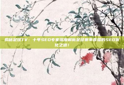 揭秘足球TV：十年SEO专家深度解析足球赛事直播的SEO优化之道！