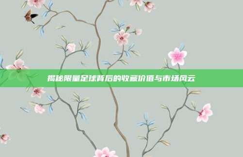 揭秘限量足球背后的收藏价值与市场风云