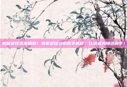 揭秘足球边裁精髓！独家足球边裁教学视频，让你成为场边高手！