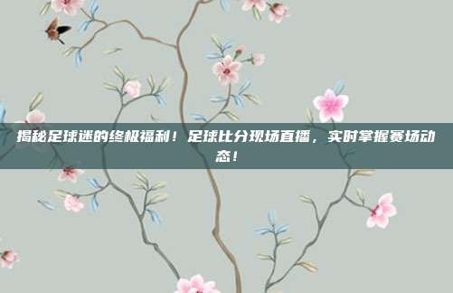 揭秘足球迷的终极福利！足球比分现场直播，实时掌握赛场动态！