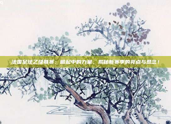 法国足球乙级联赛:崛起中的力量,揭秘新赛季的亮点与悬念!