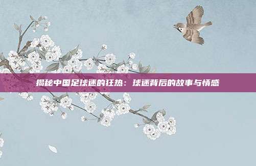 揭秘中国足球迷的狂热：球迷背后的故事与情感