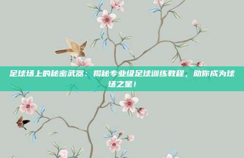 足球场上的秘密武器:揭秘专业级足球训练教程,助你成为球场之星!