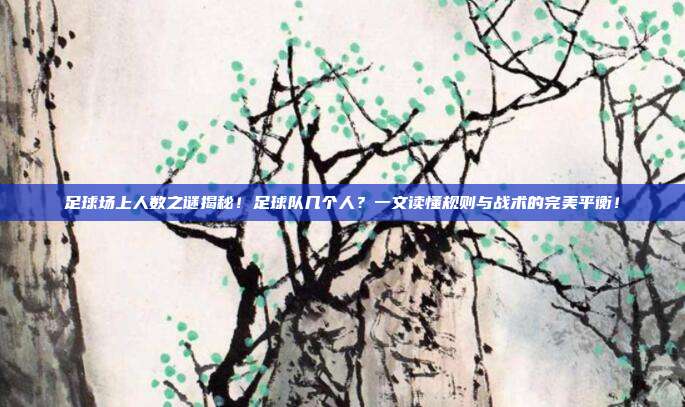 足球场上人数之谜揭秘！足球队几个人？一文读懂规则与战术的完美平衡！
