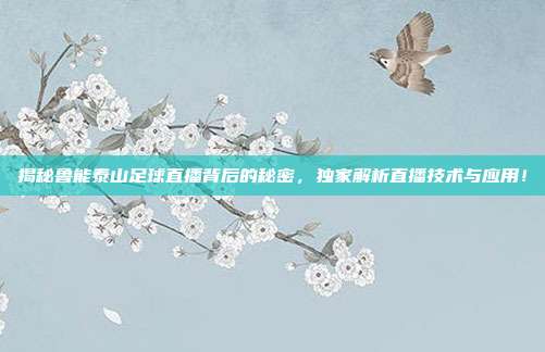 揭秘鲁能泰山足球直播背后的秘密，独家解析直播技术与应用！