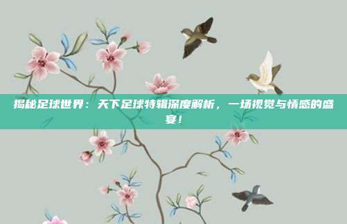 揭秘足球世界：天下足球特辑深度解析，一场视觉与情感的盛宴！