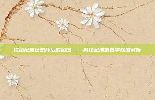 揭秘足球狂热背后的秘密——疯狂足球第四季深度解析