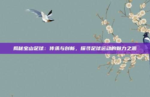 揭秘宝山足球：传承与创新，探寻足球运动的魅力之源