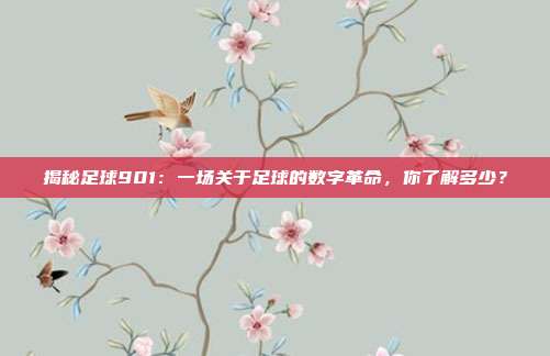 揭秘足球901:一场关于足球的数字革命,你了解多少?