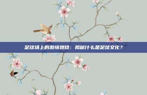 足球场上的激情燃烧：揭秘什么是足球文化？