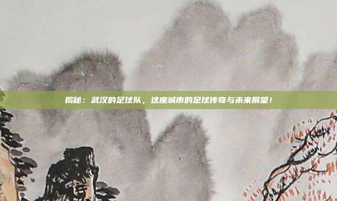 揭秘:武汉的足球队,这座城市的足球传奇与未来展望!