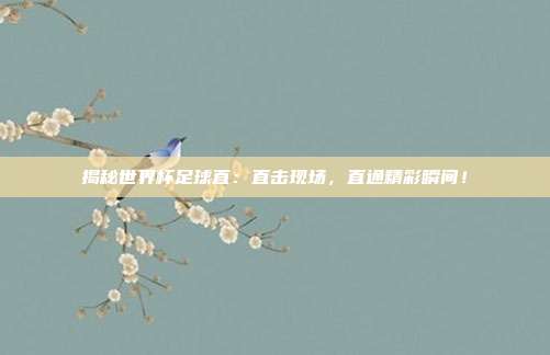 揭秘世界杯足球直：直击现场，直通精彩瞬间！