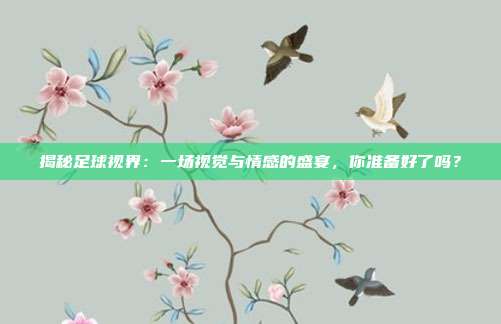 揭秘足球视界：一场视觉与情感的盛宴，你准备好了吗？