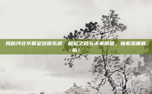 揭秘河北华夏足球俱乐部:崛起之路与未来展望,独家深度解析!
