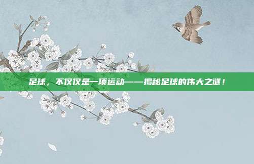 足球，不仅仅是一项运动——揭秘足球的伟大之谜！