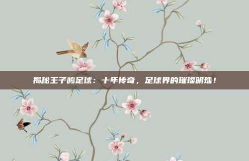 揭秘王子鸣足球:十年传奇,足球界的璀璨明珠!