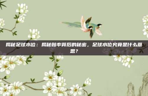 揭秘足球水位：揭秘赔率背后的秘密，足球水位究竟是什么意思？
