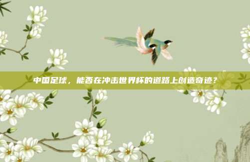 中国足球,能否在冲击世界杯的道路上创造奇迹?
