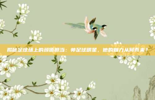 揭秘足球场上的颜值担当:帅足球明星,他的魅力从何而来?
