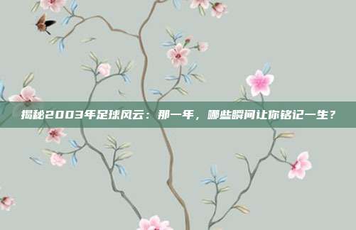 揭秘2003年足球风云：那一年，哪些瞬间让你铭记一生？