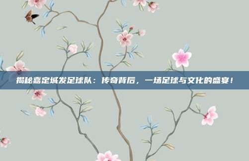 揭秘嘉定城发足球队：传奇背后，一场足球与文化的盛宴！