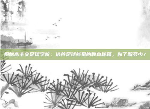 揭秘高丰文足球学校：培养足球新星的教育秘籍，你了解多少？