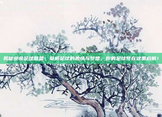 揭秘业余足球联盟：草根足球的激情与梦想，你的足球梦在这里启航！