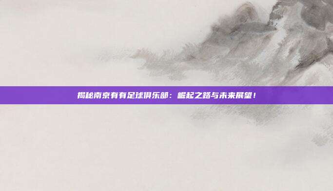 揭秘南京有有足球俱乐部:崛起之路与未来展望!