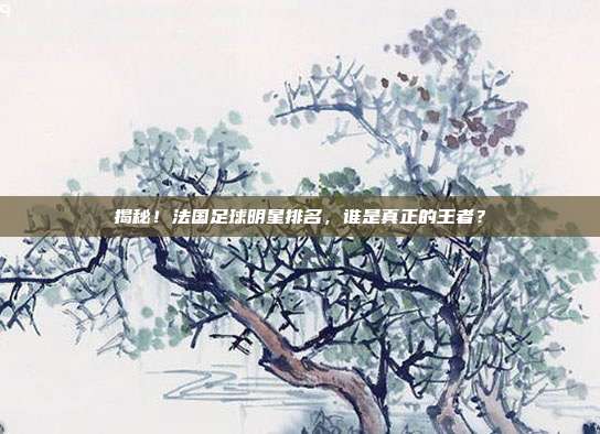 揭秘！法国足球明星排名，谁是真正的王者？