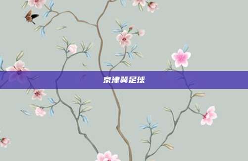京津冀足球