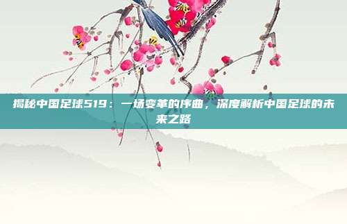 揭秘中国足球519：一场变革的序曲，深度解析中国足球的未来之路